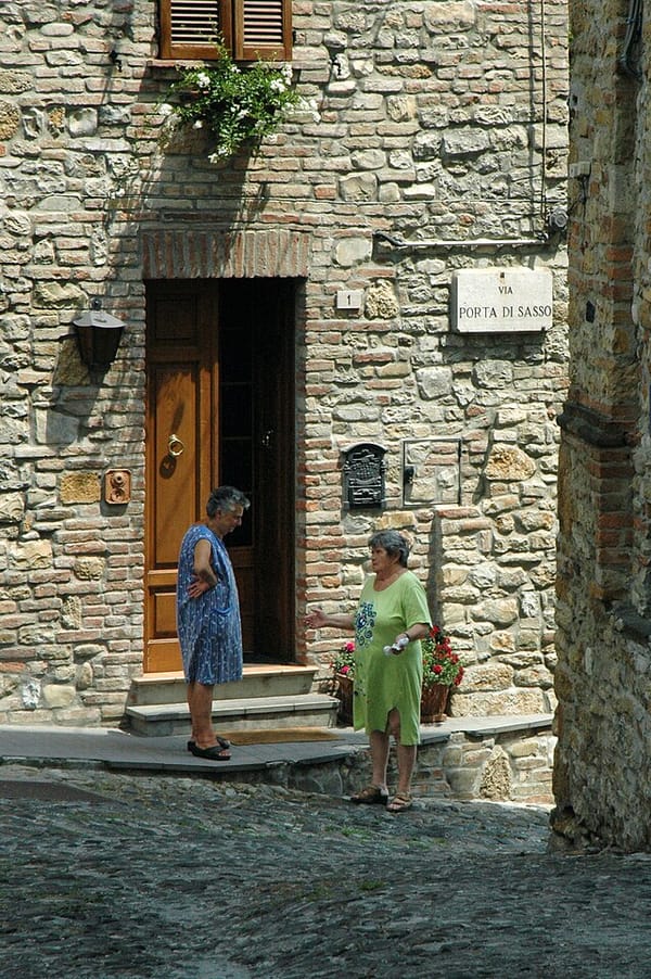 Grandma’s Little Blue Birdie Officially Identified As Connie
