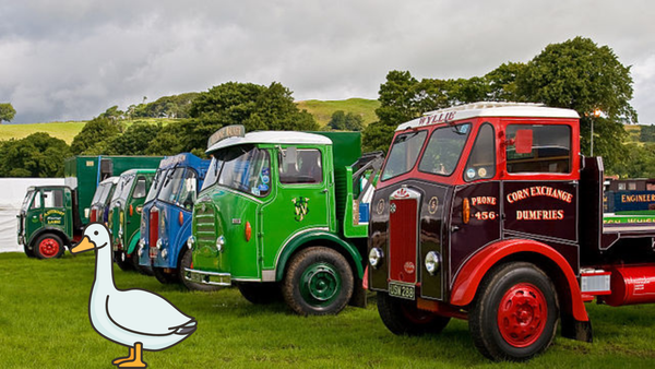 Truck Horns Announced As U.S. Second Language; “Honk Honk,” Says Goose
